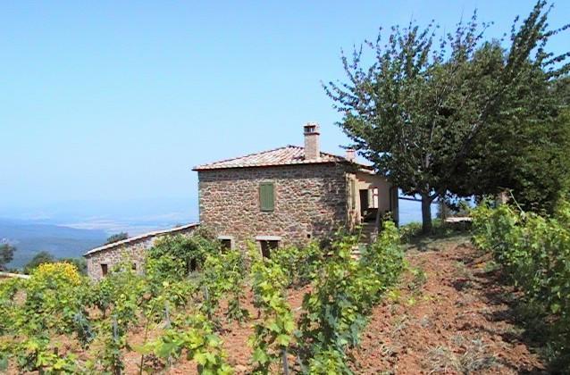 Podere Soccorso Montalcino Exterior foto