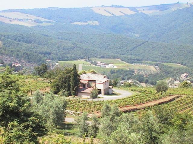 Podere Soccorso Montalcino Exterior foto
